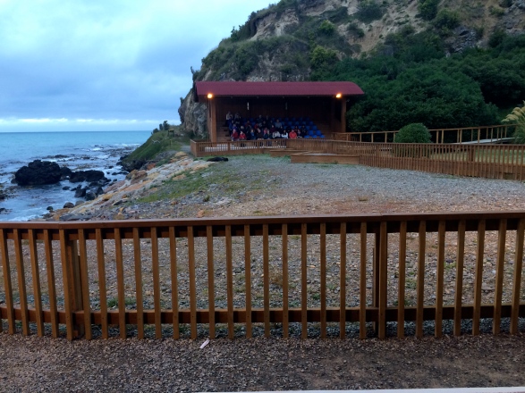 The viewing platform at Omaru.  Notice the Premium seats and the ominous fur seal. 