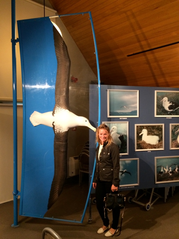 Me looking a bit windswept next to the albatross.  